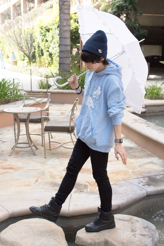 "raining cats and dogs" hoodie