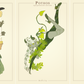 plantetarium prints