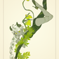plantetarium prints